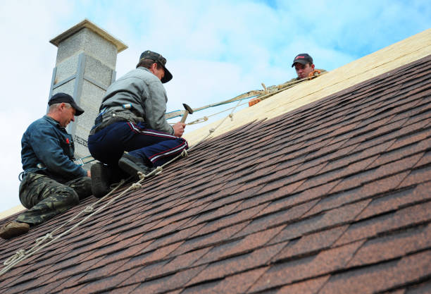 Best Shingle Roofing Installation  in Shrub Oak, NY